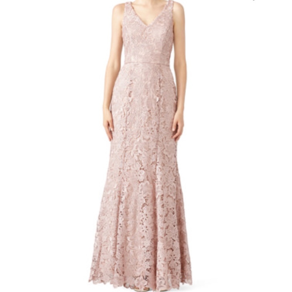 JS Collection Blush Floral Lace Gown Size 4